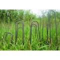 /msite/products/detail/productid/62767873/id/528770.html