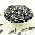 Sunflower seeds for sale/ Sunflower seeds for planting