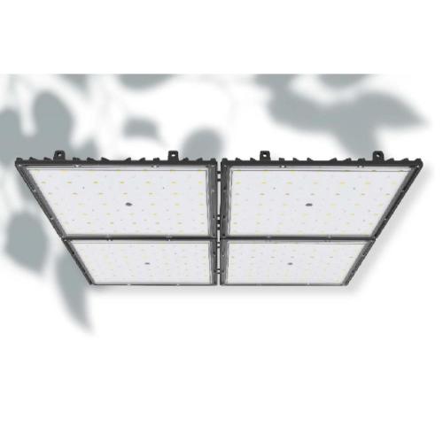 ROTE 660nm LED Grow Lights für die Blüte