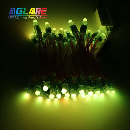 Factory Direct Outdoor Decoration Digital LED String Light 12mm WS2811 Full Color Module