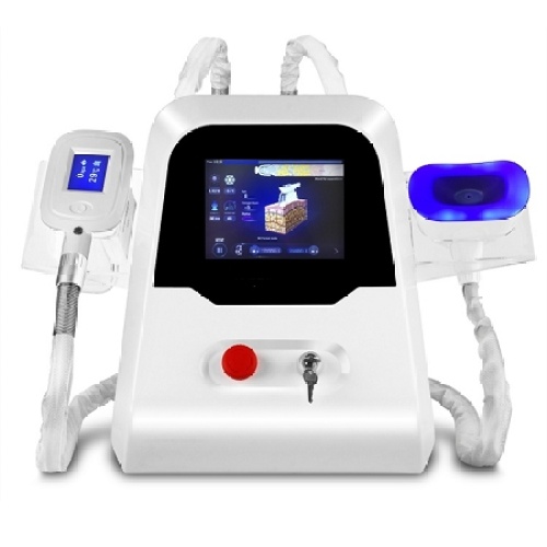 Cryolipolysis Training Online Choicy Academy Fat Freezing Training Factory