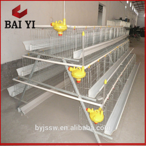 Automatic chicken egg cage for poultry farm