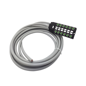 M8 12 -Wege -Verteilungsbox mit Formkabel