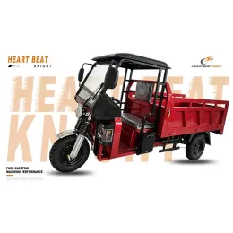 CT3 Electric Cargo Tricycle