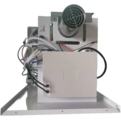 Customized Constant Temperature LPG Gas Water Heater with High Quality