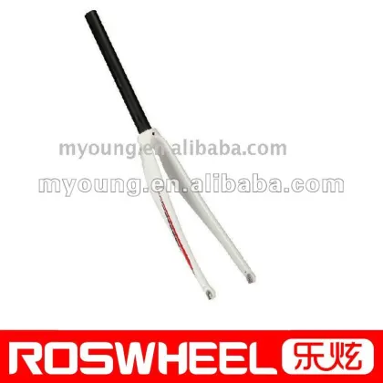 Bicycle carbon Fork
