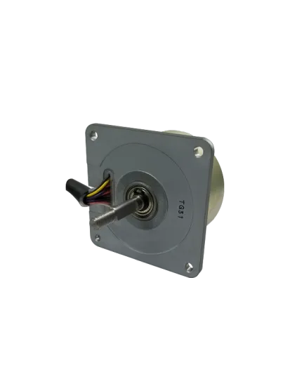 FB-801D9-CF Blower Motors - MAINTEX