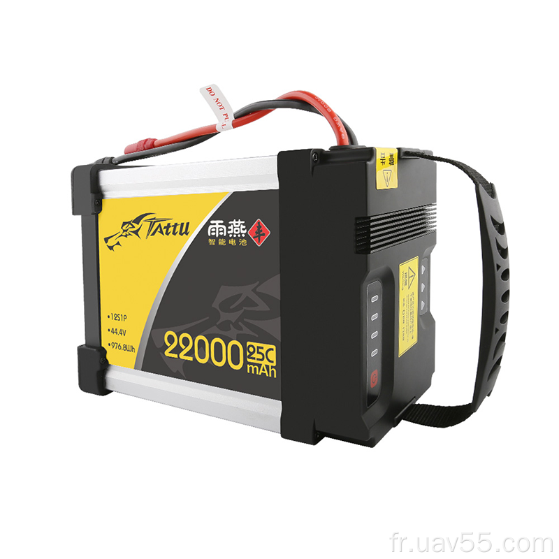 Batterie Tattu 22000mAh Li-ion pour pulvérisateur agricole