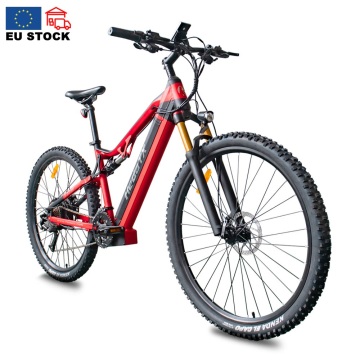 इलेक्ट्रिक बाइक बैटरी 48V 1000W 19.2AH लिथियम बैटरी माउंटेन बाइक