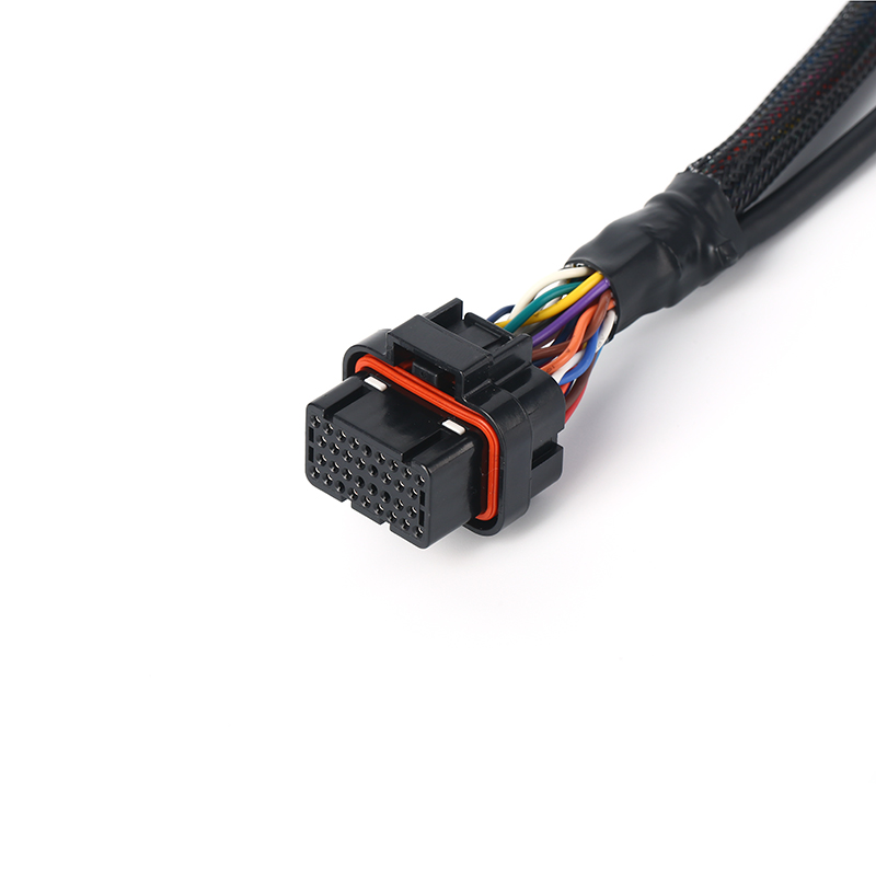 Custom Cabinet Wiring Harness