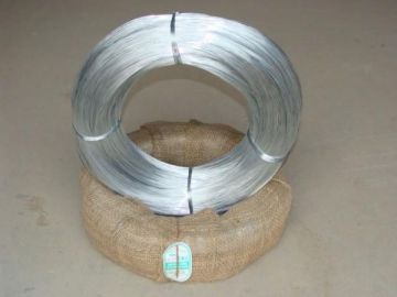 Electro Hot DIP Galvanized Wire for Binding with (CE and SGS)