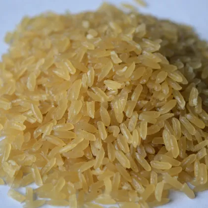 nutrient rice production line