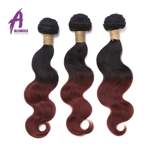100 Percent Human Hair Bundles Virgin Human Hair 3 Bundles With Lace Frontal Brazilian Ombre Colored Curly Bundles