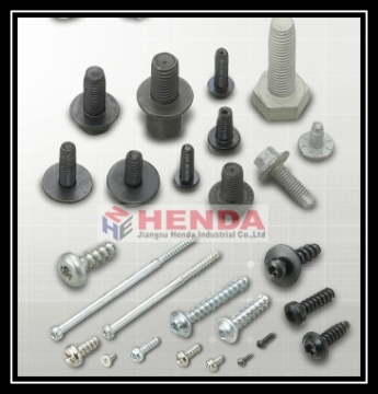 Long Screw