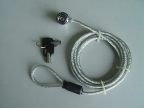 China Factory Wholesale Computer Lock