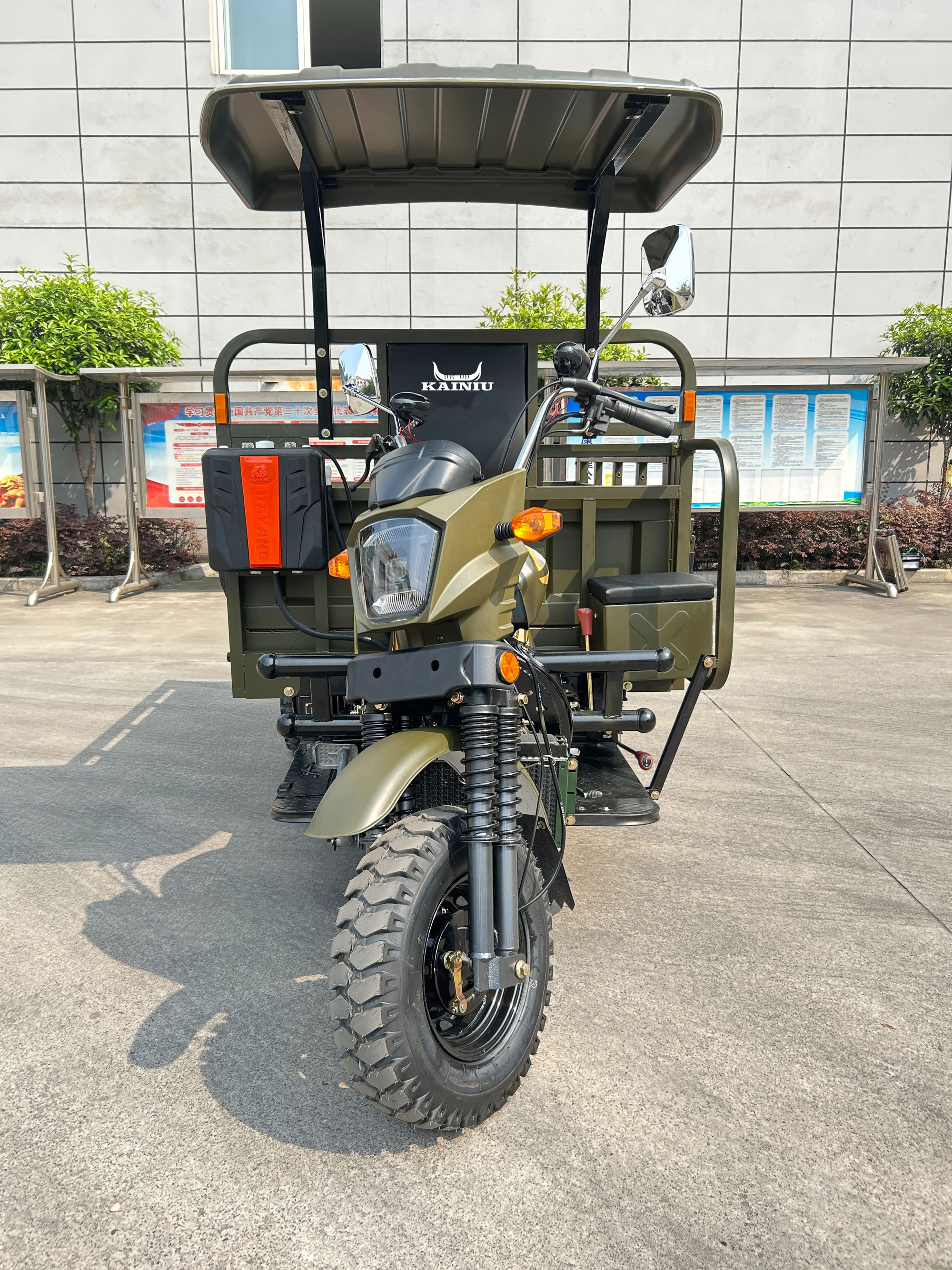 Triwheeler de transporte de carga eficiente