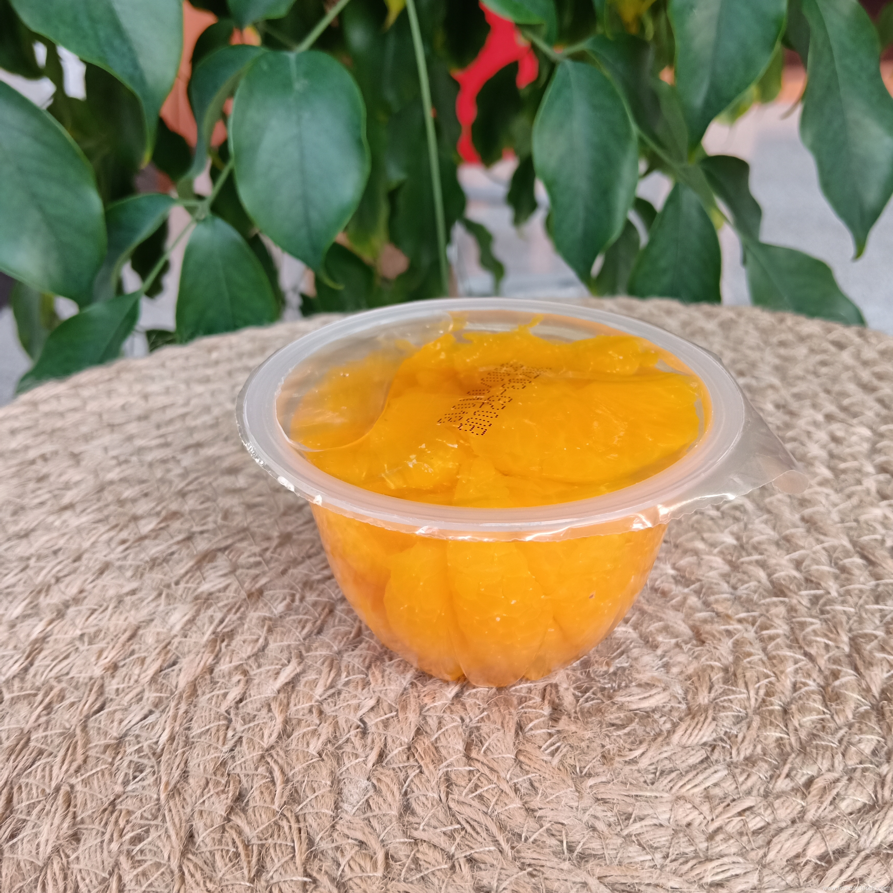 Fresh Canned Mandarin Orange in Light Syrup 113g