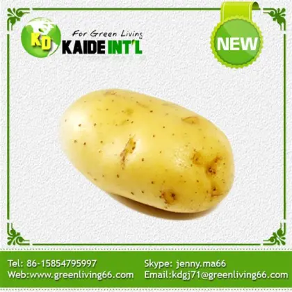 Palatable Cheap Fresh Potatoes