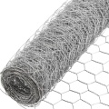 Galvanisé Hexagonal Fir Filting Netting Poulet Mesh Fence