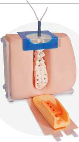 Lumbar Puncture Model