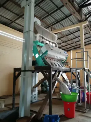 WENYAO Brand WYCS5-320 Chickpeas Color Sorting Machine