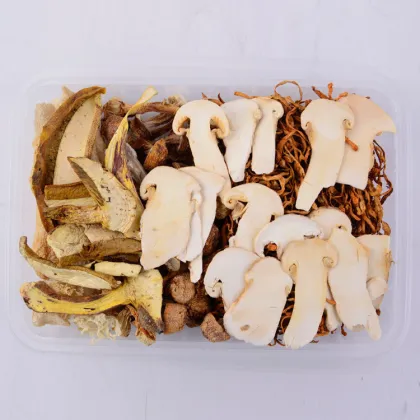 Wholesale Tricholoma matsutake, yellow head fungus, boletus, morel, razor clam