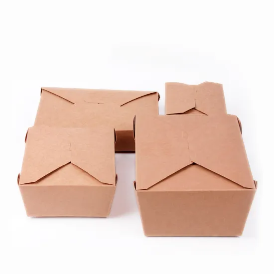 Recycled Paper Lunch Boxes and Eco-Friendly Takeaway Containers