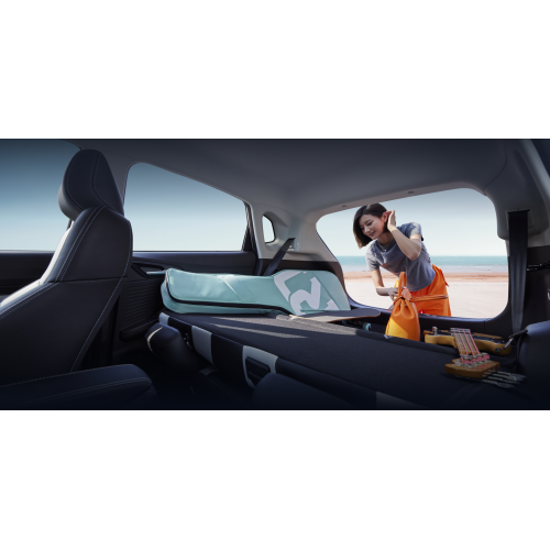 Pure electric SUV Neta AYA
