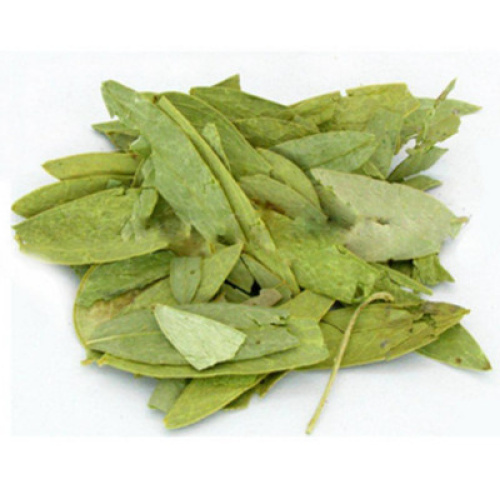 ISO Certified 100% Natural Senna Leaf Extract