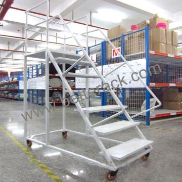 warehouse climbing ladder