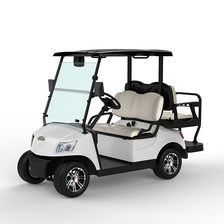 4 coș de golf electric pentru pasageri de vânzare