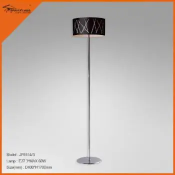modern  Floor Lamp