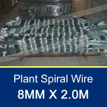 8.0mm Plant Spiral Wire 2.0m