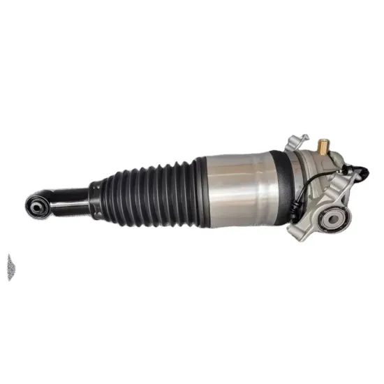 High Quality Rear Air Shock Absorber for Porsche Cayenne and Volkswagen Touareg - China Supplier