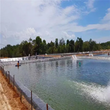 Wholesale Aquaculture Pond 500 Microns HDPE