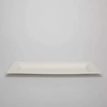 Eco-Friendly Disposable Tableware