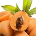 Bio -Loquat -Obstpulver aus Lebensmittelqualität