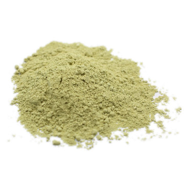Bio-Kürbis-Proteinpulver Bulk