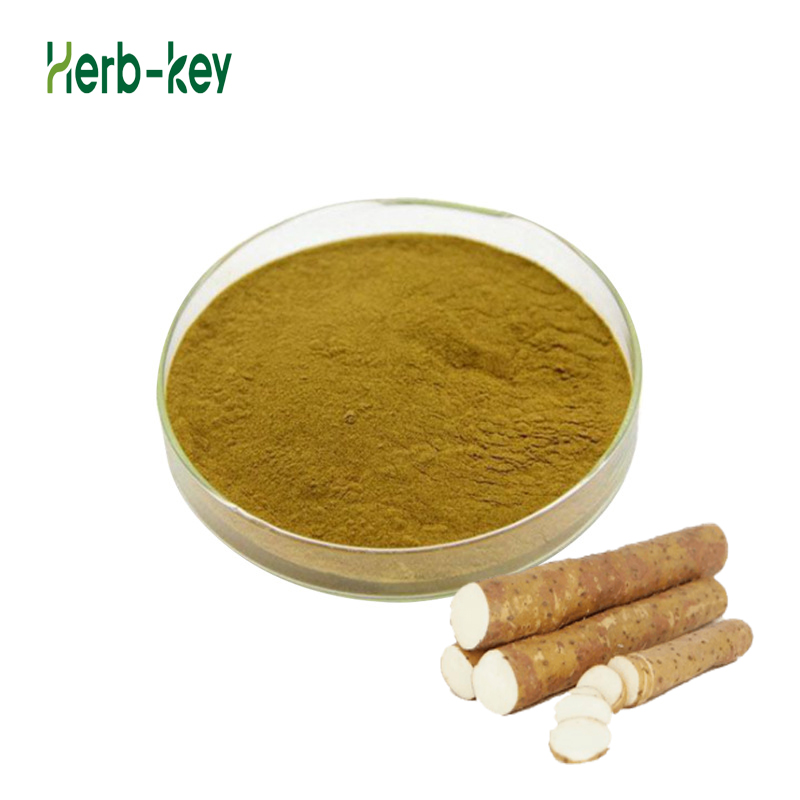 Natural Yam Extract Powder Rhizoma Dioscoreae Extract