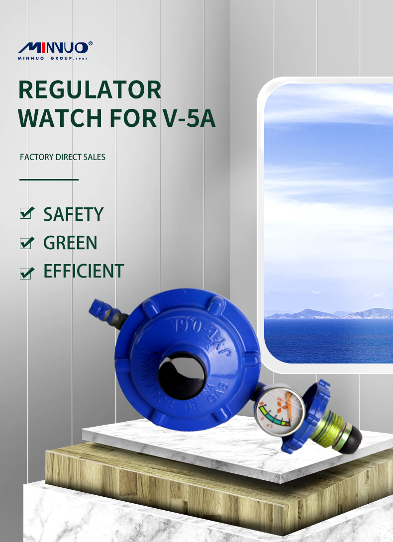 lpg regulator price