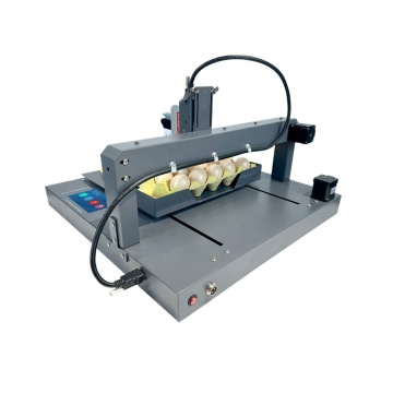 Multifunktions -Eiercodierungsmaschine der XY -Achse Mobile Plattform