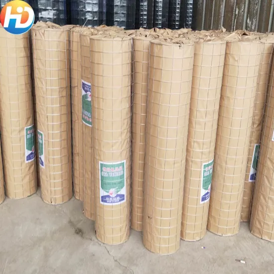 1/4 Inch PVC Coated/Galvanized Welded Wire Mesh for Construction