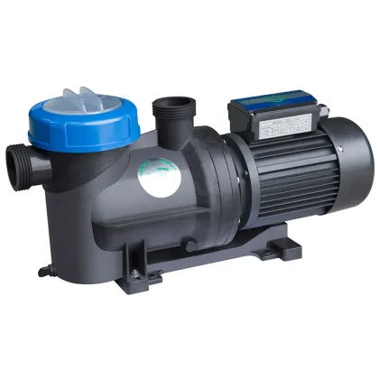Plastic Quiet Sea Water Water Pump For Pool/aquaculture