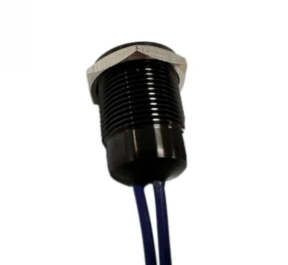 16mm IP68 pushbutton switch