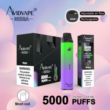 Disposable Vape 5000 Puffs Avidvape