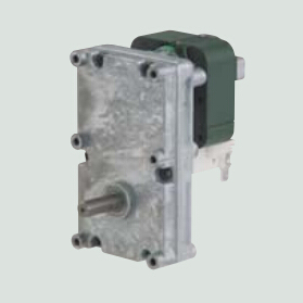 SPG (ISG-3240)micro electric shaded pole geared motor