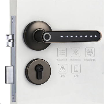 Serrature per porte intelligenti: soluzioni di sicurezza per impronte digitali e password