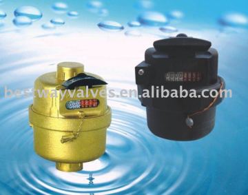 Rotary piston Water Meter