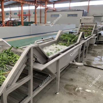 Ligne de lavage de légumes avec fonction bulle