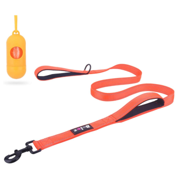 Training Walking Dog Lead